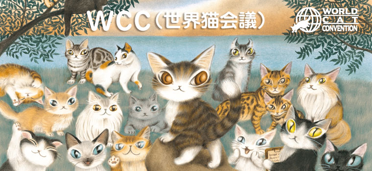 わちふぃーるどオンラインショップ