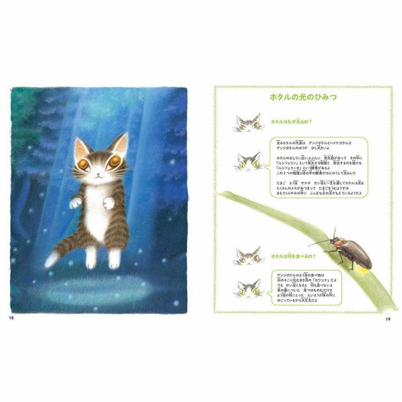 わちふぃーるど　ダヤン　絵本 Amazon.co.jp: 猫のダヤンとわちふぃーるどの世界 ~ダヤンの絵本
