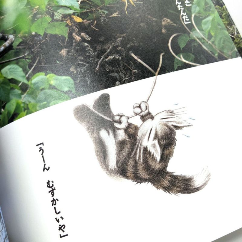 ダヤンと森の写真絵本 ねどこどこ？ | わちふぃーるどオンラインショップ