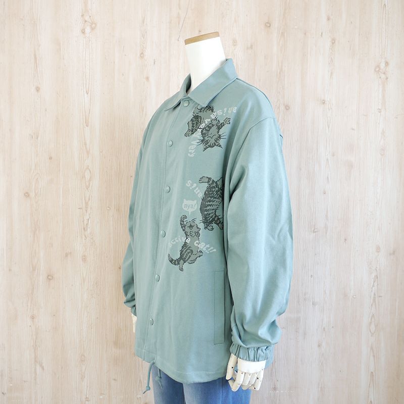 チワワ・ジャップ・Jr グッズまとめ STORE | DD STORE