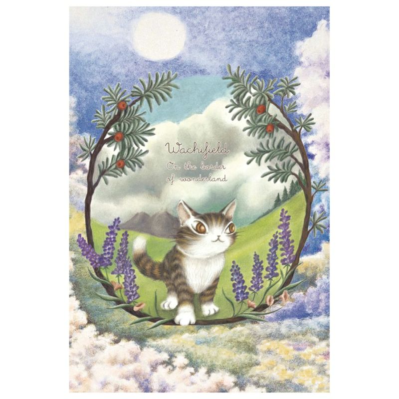 【 限定品 / 65%OFF! 】ドイツ製ポストカード　※国内未販売品！ SSM0125A0010_zo_a001.jpg